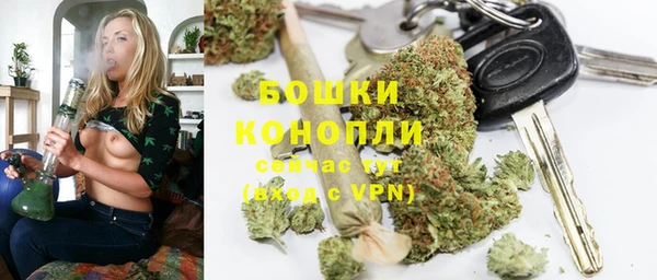 ALPHA PVP Белокуриха