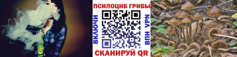 МЕГА маркетплейс  Кстово  shop официальный сайт  Псилоцибиновые грибы Psilocybe 